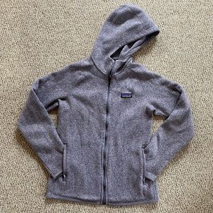 Purple Patagonia Better Sweater Hoody